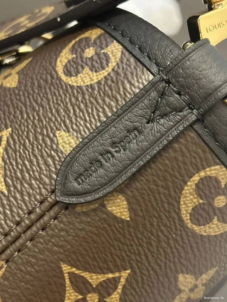 Bags Louis Stylish Vuitton Shopping 41133 0822
